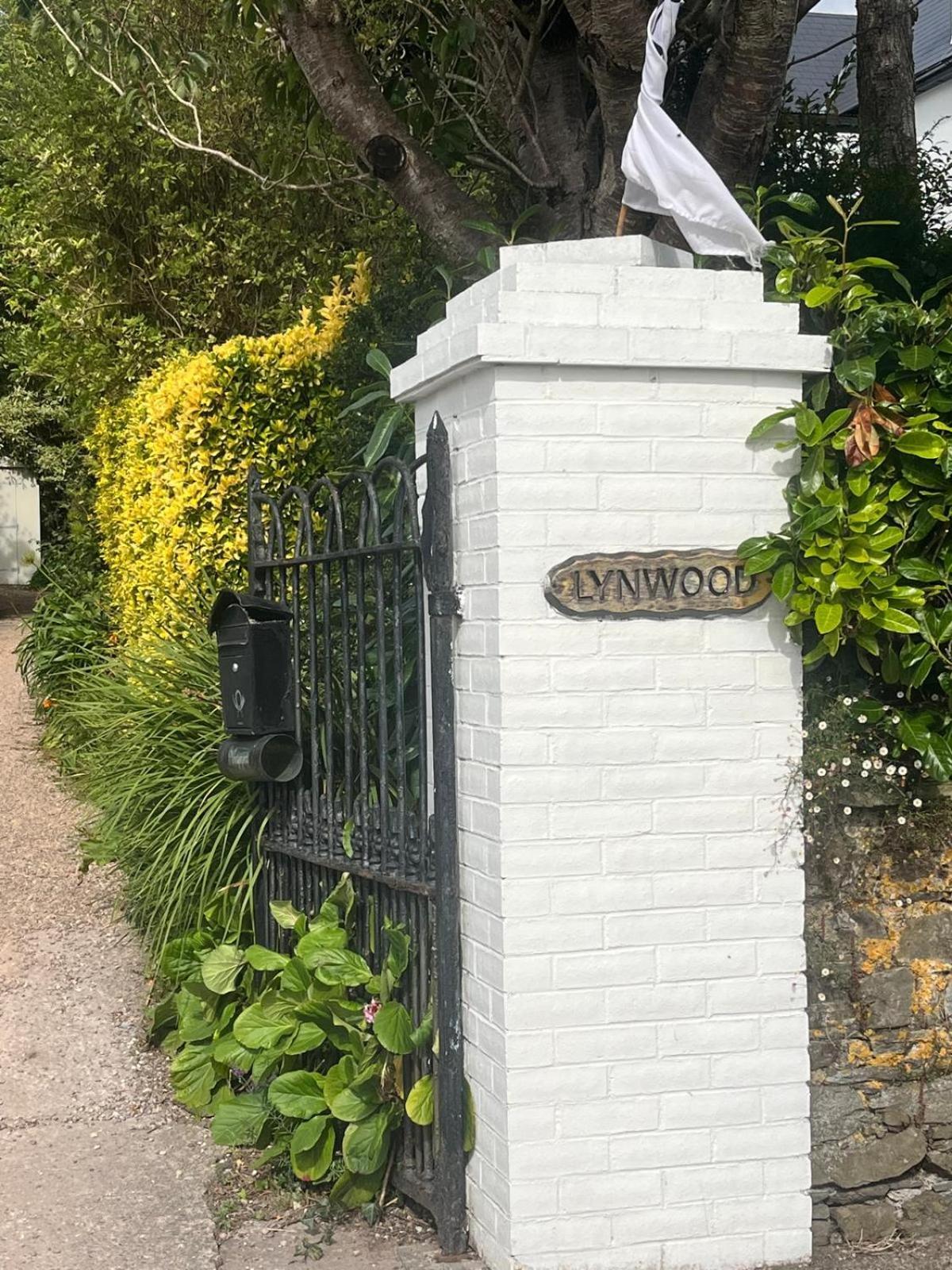 Bed and Breakfast Lynwood House Cobh Exteriér fotografie